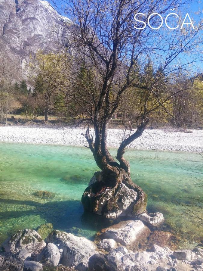 Apartma Kukc Bovec Apartment Kal-Koritnica Bagian luar foto